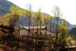 半山腰上的一户白墙民居，屋前几棵落着黄叶的高树